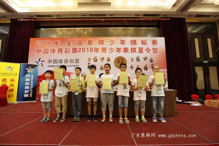 2016年全国象棋少年锦标赛男子丁组前八名 2016年全国象棋少年锦标赛男子丁组前八名